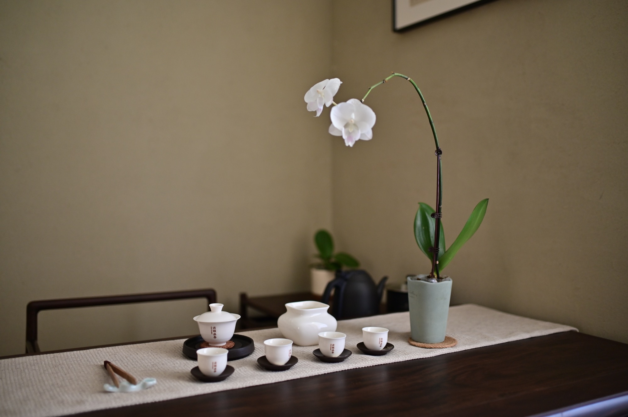陈李济陈皮养生茶道馆（汇景新城店）